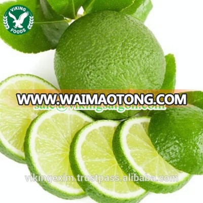 FRESH SEEDLESS LIME //// Competition Price- From Vietnam