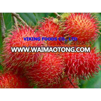 HOT SELL_FRESH RAMBUTAN _FROM VIETNAM