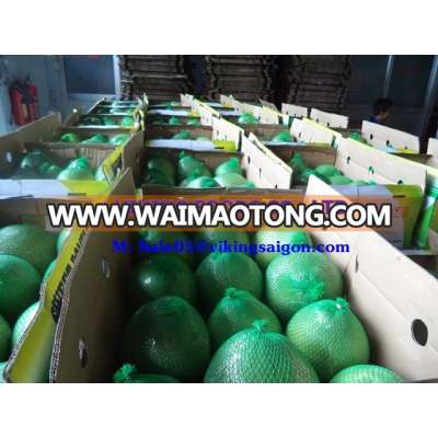 BEST PRICE_FRESH POMELO _HIGH QUALITY FROM VIETNAM !