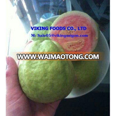 VIETNAM FRESH GUAVA