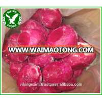 BEST PRICE_FROZEN PITAYA_HIGH QUALITY_FROM VIETNAM !