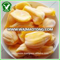 BEST PRICE_FROZEN JACKFRUIT_FROM VIETNAM !