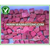 BEST PRICE_FROZEN RED PITAYA_HIGH QUALITY_FROM VIETNAM !