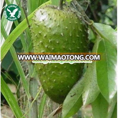 FRESH SOURSOP _FROM VIETNAM