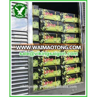 COMPETITIVE PRICE_FRESH SEEDLESS LIME_HIGH QUALITY