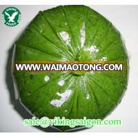 BEST PRICE/FROZEN CASSAVA LEAF// HIGH QUALITY_FROM VIETNAM