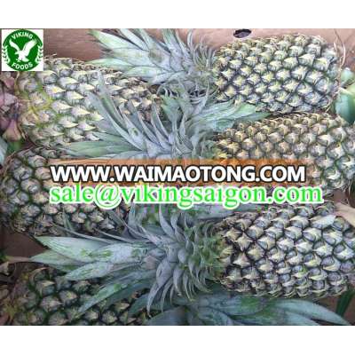 FRESH PINEAPPLE- BEST PRICE FROM VIETNAM