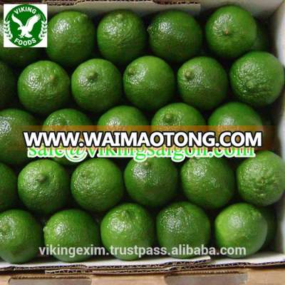 COMPETITIVE PRICE_FRESH SEEDLESS LIME_HIGH QUALITY //FROM VIETNAM