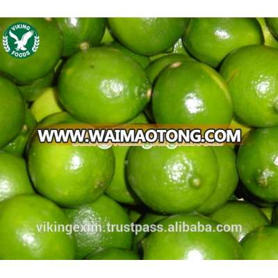 COMPETITIVE PRICE//// FRESH SEEDLESS LIME_HIGH QUALITY