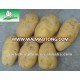 Good Taste Potato(100G-200G)