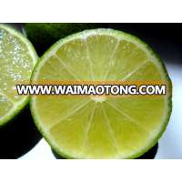 Seedless Lime