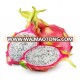 DRIED DRAGON FRUIT `100% NATURAL FROM THAILAND